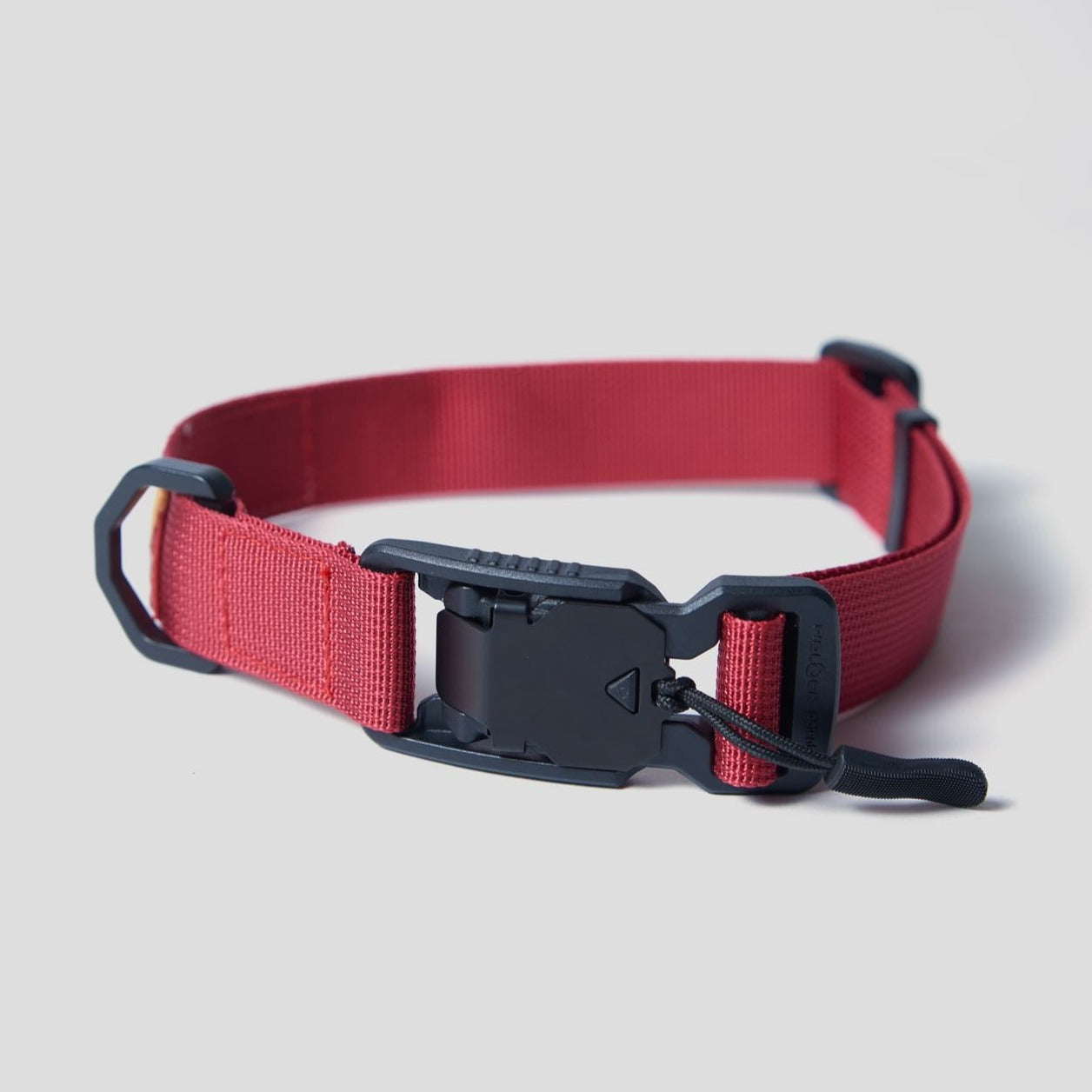 Pet Collar