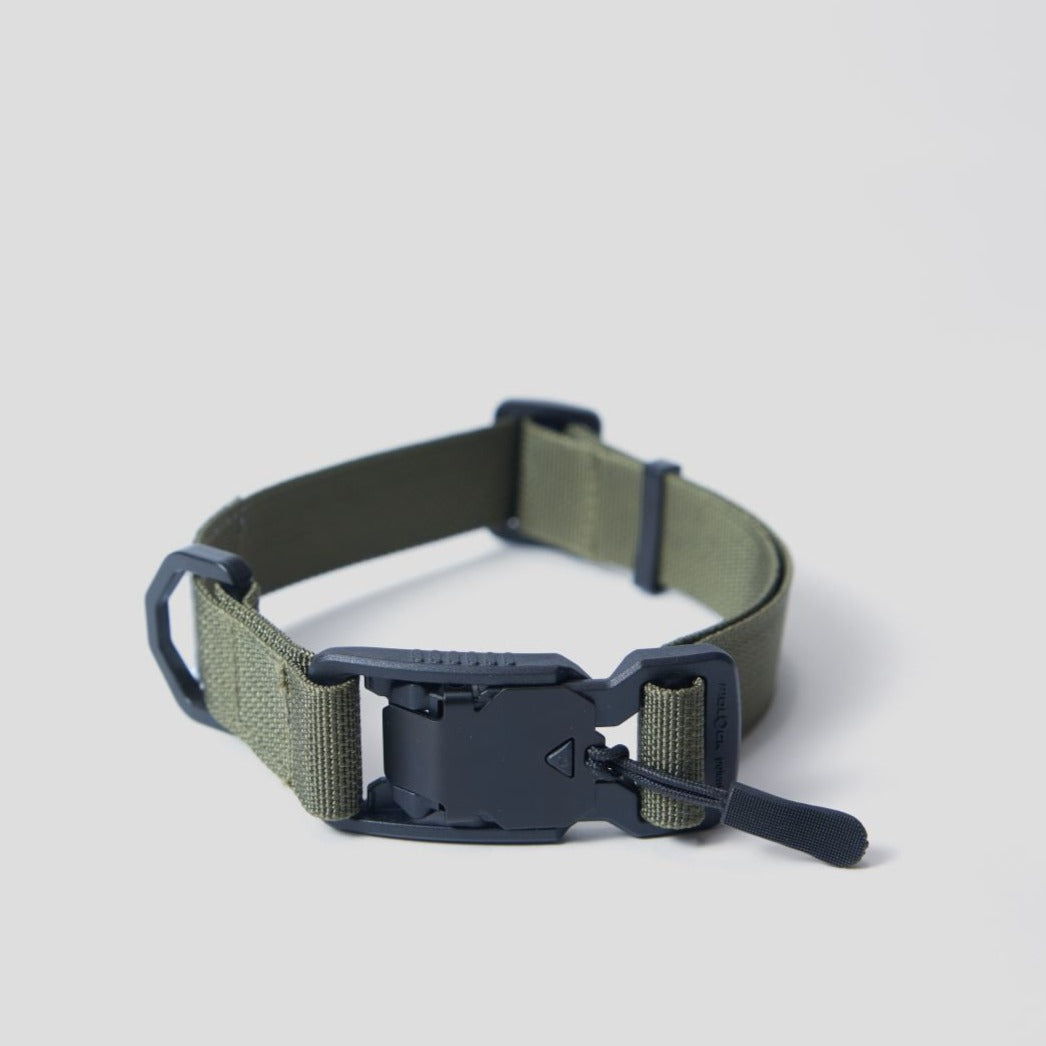 Pet Collar